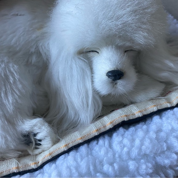 Perfect Petzz Poodle Bundle - Picture 4 of 8